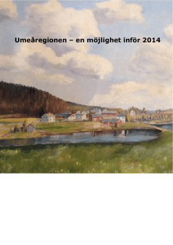 Umeåregionen – en möjlighet inför 2014