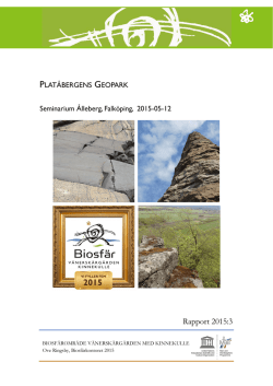 Rapport 2015:3