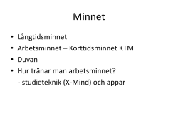 Minnet - Bufblogg