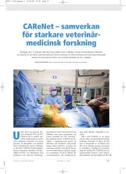 CAReNet – samverkan för starkare veterinär- medicinsk