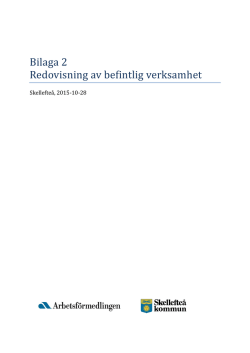 Skellefteå - Delegationen för unga till arbete
