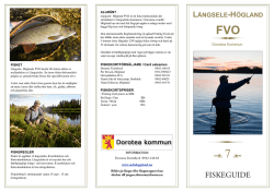 Högland FVO - Jakt och Fiske i Södra Lappland