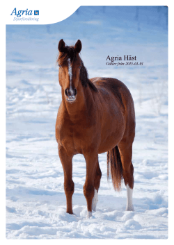Agria Häst - Agria Djurförsäkring