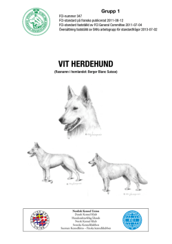 SKK-standard för Vit Herdehund
