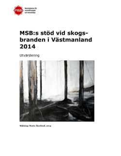 MSB:s stöd vid skogsbranden i Västmanland 2014 : utvärdering