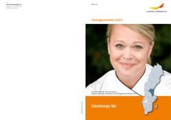 Företagsamheten 2015 – Gävleborgs län