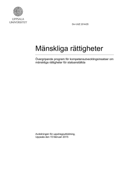 Uppsala universitets övergripande programrapport