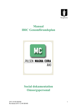 Manual IBIC genomförandeplan