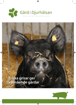 Friska grisar ger välmående gårdar