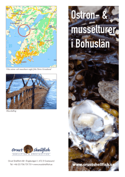 Ostron- & musselturer i Bohuslän