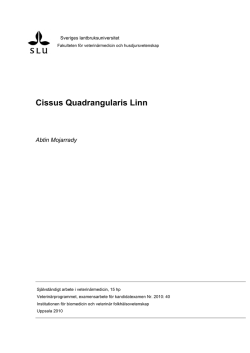 Cissus Quadrangularis Linn