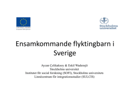 Eskil Wadensjös presentation 231.5 KB pdf