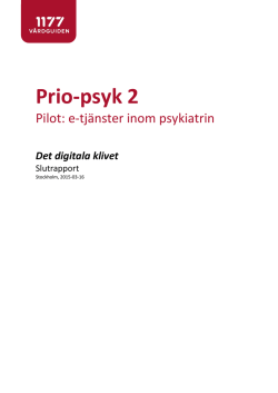 Prio-psyk 2 e-tjänster slutrapport inkl bilagor