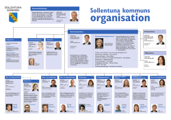 Organisation 2015 (utskrift i A3)