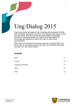 Minnesanteckningar Ung Dialog 2015 (PDF