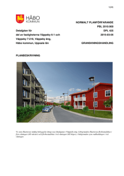 NORMALT PLANFÖRFARANDE PBL 2010:900 Detaljplan för DPL