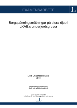 EXAMENSARBETE - pure.ltu.se - Lule&aring; tekniska universitet