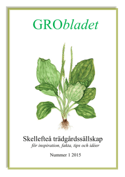 Grobladet nr.1 - Skellefteå trädgårdssällskap