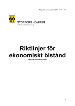 Riktlinjer för ekonomiskt bistånd