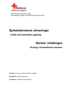 Sjuksköterskans utmaningar Nurses` challenges