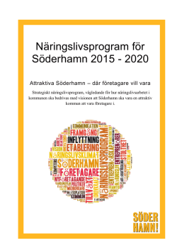 Näringslivsprogram för Söderhamn 2015