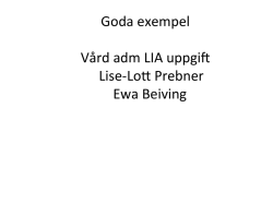 Goda exempel Vård adm LIA uppgift Lise