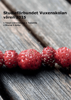 Studieförbundet Vuxenskolan kurser våren 2015