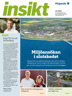 Insikt #3 2015
