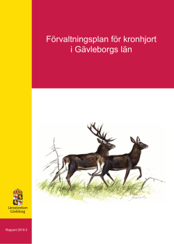 Förvaltningsplan för kronhjort i Gävleborgs län