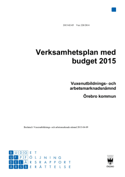 verksamhetsplan med budget 2015