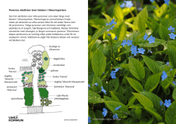 Växtlista perenner längs bäcken pdf