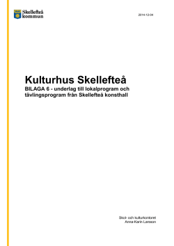 Bilaga 6 - underlag till lokalprogram och