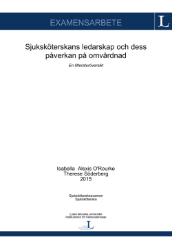 EXAMENSARBETE - pure.ltu.se - Lule&aring; tekniska universitet