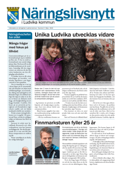 Näringslivsnytt nr 3 2015, Ludvika kommun