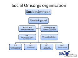 Social Omsorgs organisation
