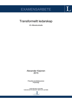 EXAMENSARBETE - pure.ltu.se - Luleå tekniska universitet