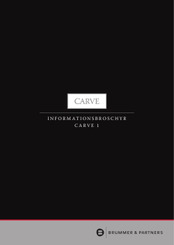 INFORMATIONSBROSCHYR CARVE 1