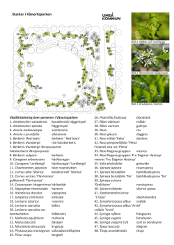 Växtlista buskar pdf
