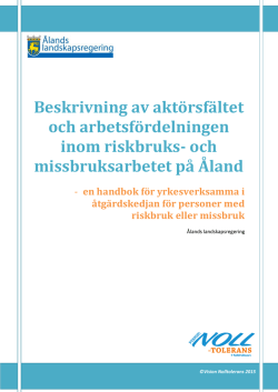 Beskrivning av aktörsfältet och arbetsfördelningen inom