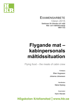 Flygande mat – kabinpersonals måltidssituation