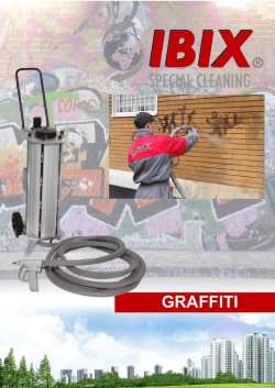 IBIX-« removing graffitiSV