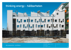 thinking energy - hållbarheten - hauschild