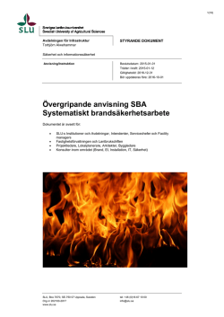 Övergripande anvisning SBA Systematiskt brandsäkerhetsarbete