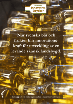 Rapport - Centrum för Innovativa Drycker