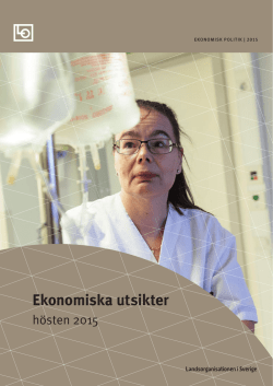 Ekonomiska utsikter