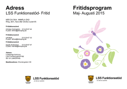 Adress Fritidsprogram