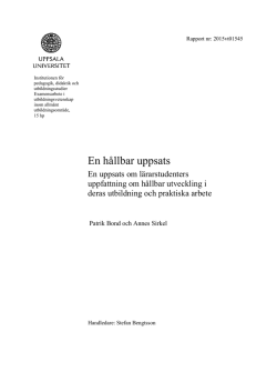 fulltext - DiVA Portal