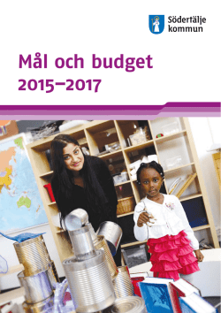 Mål och budget 2015–2017