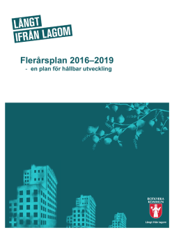 Flerårsplan 2016-2019 slutlig