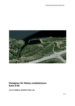 Detaljplan för Näsby småbåtshamn Kalix 6:90